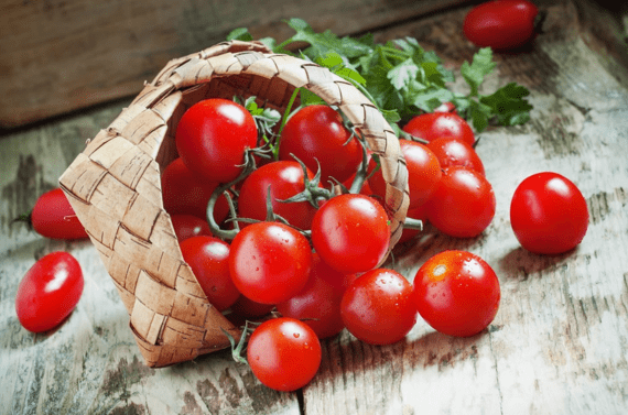 Как хранить помидоры в домашних условиях