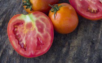 Почему у томатов загнивают верхушки плодов?